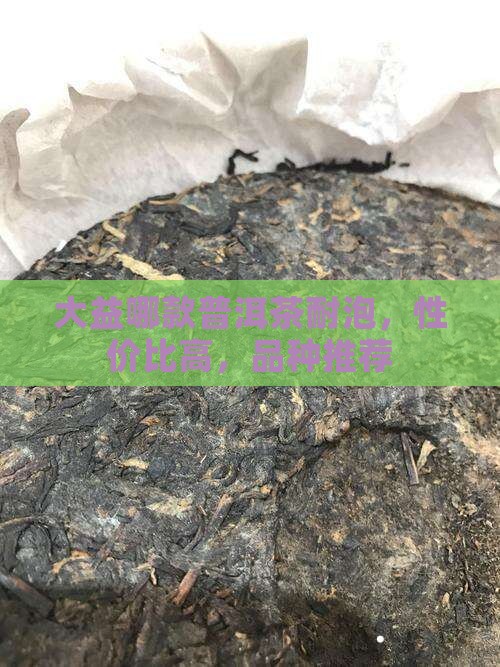 大益哪款普洱茶耐泡