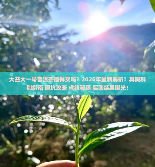 大益大一号普洱茶