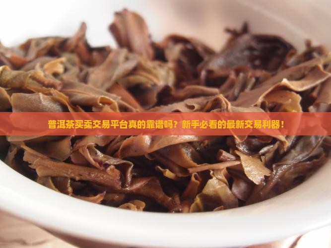普洱茶买卖交易平台