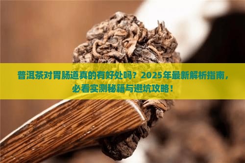 普洱茶对胃肠道
