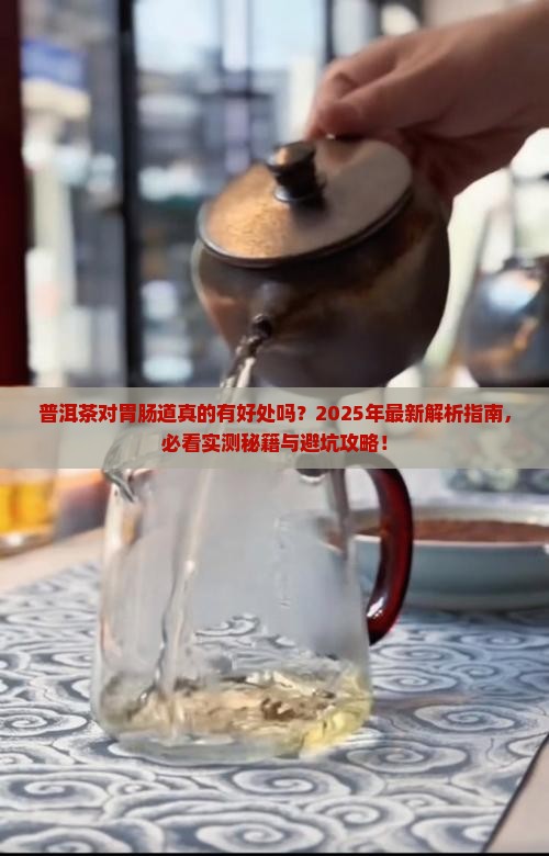 普洱茶对胃肠道