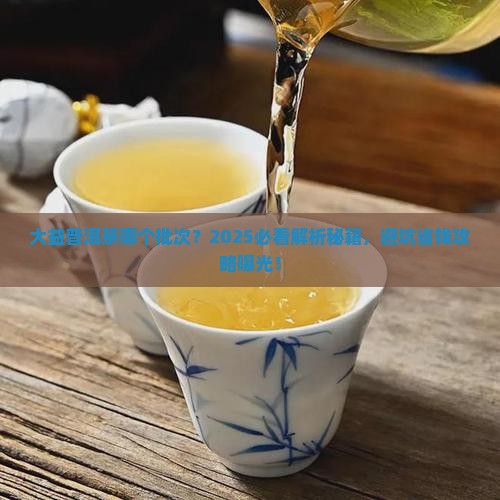大益普洱茶哪个批次好