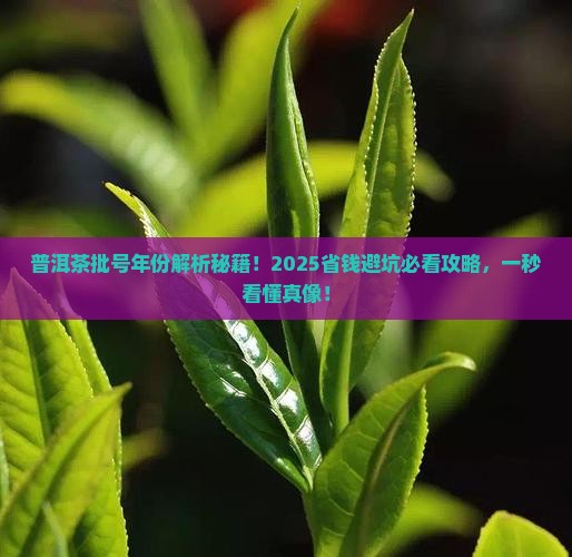 普洱茶批号年份怎么查看