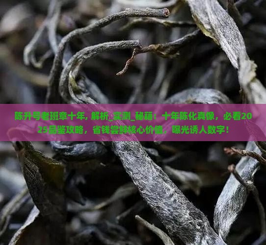 陈升号老班章十年