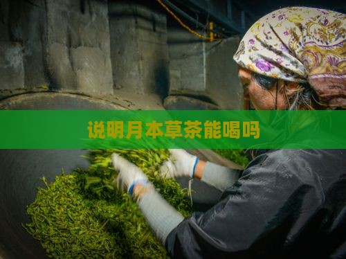 明月本草茶能喝吗