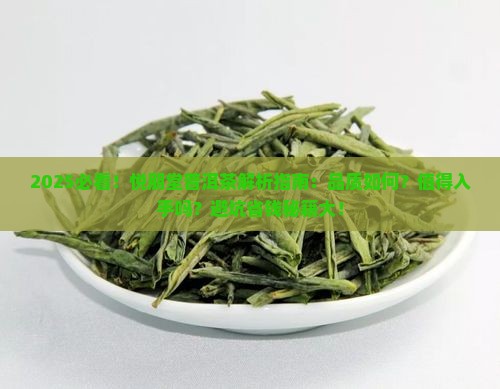 悦朋堂普洱茶怎么样