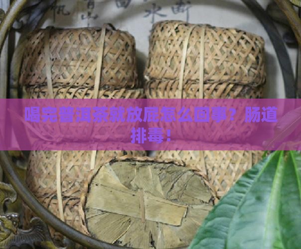喝完普洱茶就放屁怎么回事