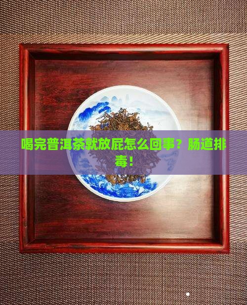 喝完普洱茶就放屁怎么回事