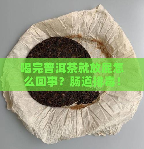 喝完普洱茶就放屁怎么回事