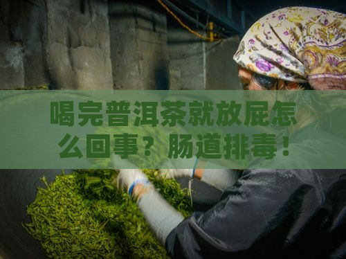 喝完普洱茶就放屁怎么回事