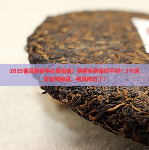 普洱茶的茶梗多