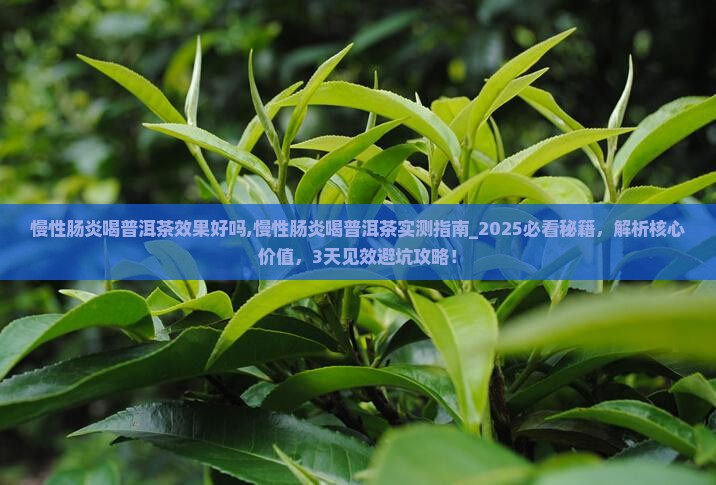 慢性肠炎喝普洱茶效果好吗