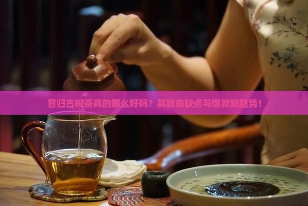 昔归古树茶的优缺点 昔归古树茶的优缺点