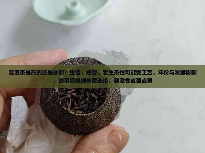 普洱茶时热的还是寒的