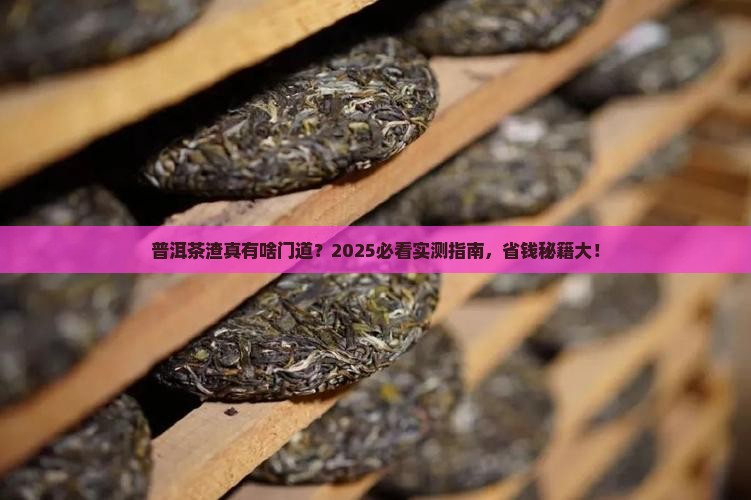 普洱茶渣是什么意思啊