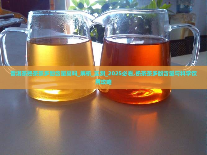 普洱茶熟茶茶多酚含量高吗
