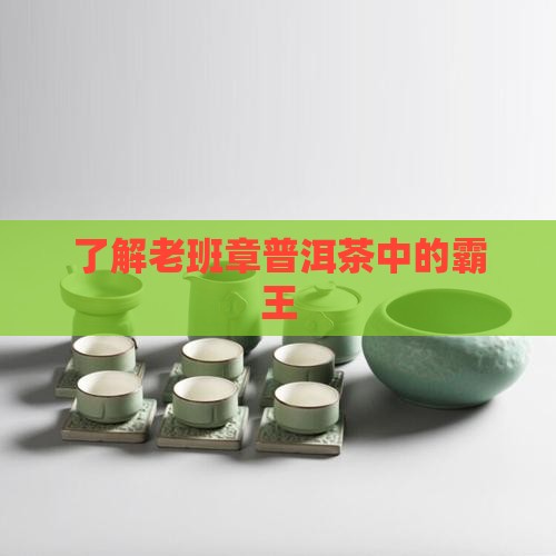 了解老班章普洱茶