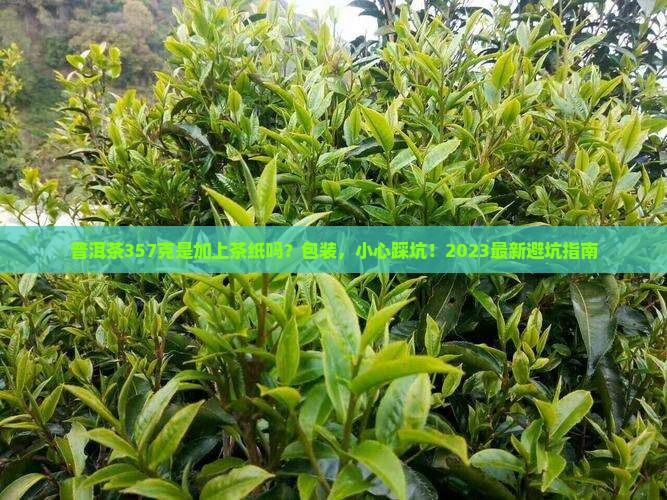 普洱茶357克是加上茶纸吗