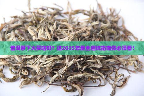 普洱茶下火买什么茶好