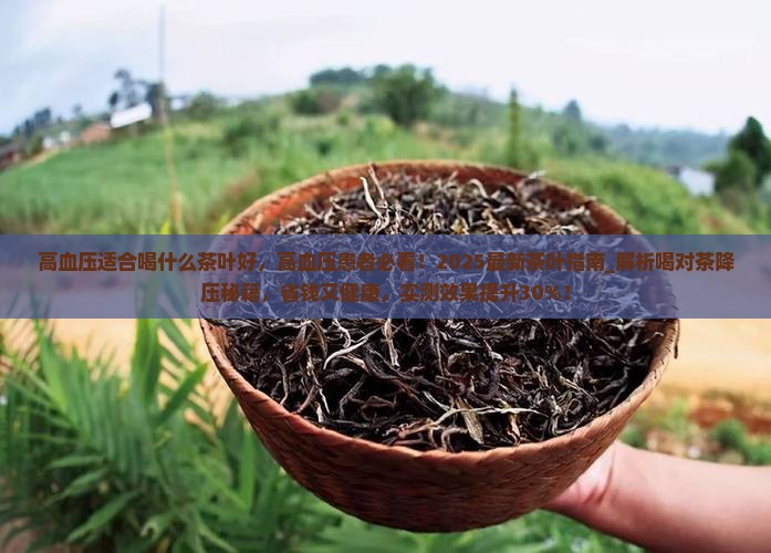 高血压适合喝什么茶叶好