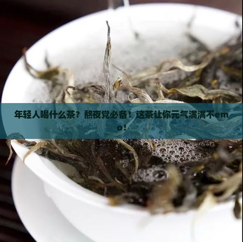 年轻人喝什么茶