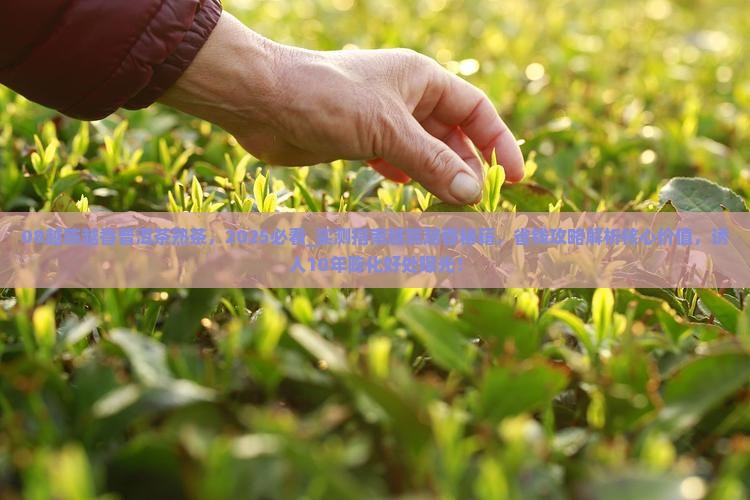 08越陈越香普洱茶熟茶