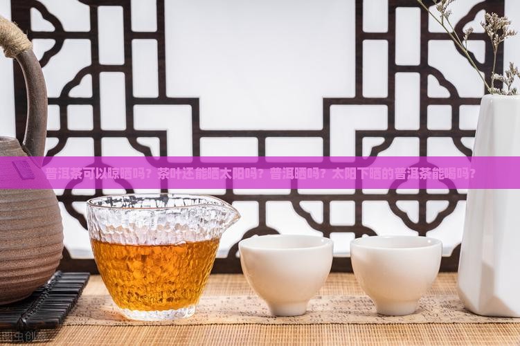 普洱茶可晾晒吗有毒吗能吃吗