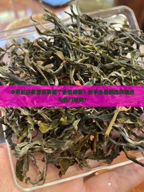 中茶和白茶普洱茶