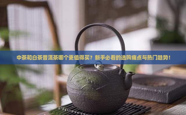 中茶和白茶普洱茶