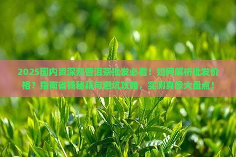 国内资深熟普洱茶批发
