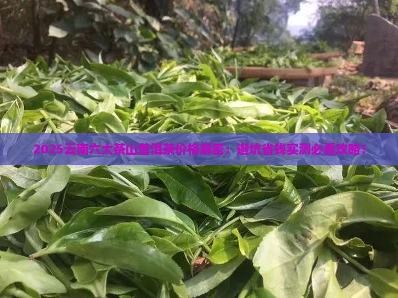 云南六大茶山普洱茶价格表