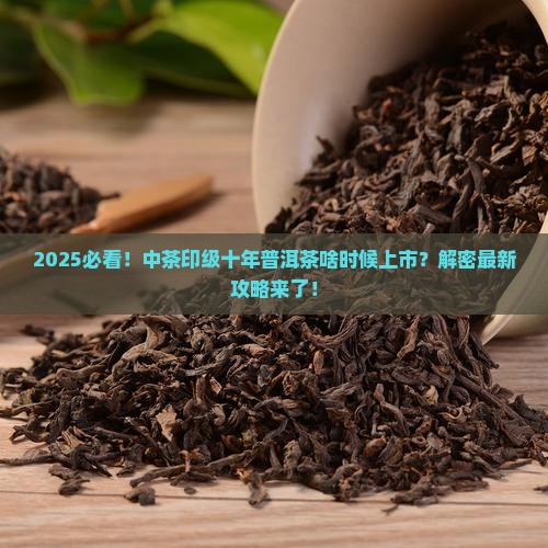 中茶印级十年普洱茶上市时间