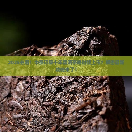 中茶印级十年普洱茶上市时间