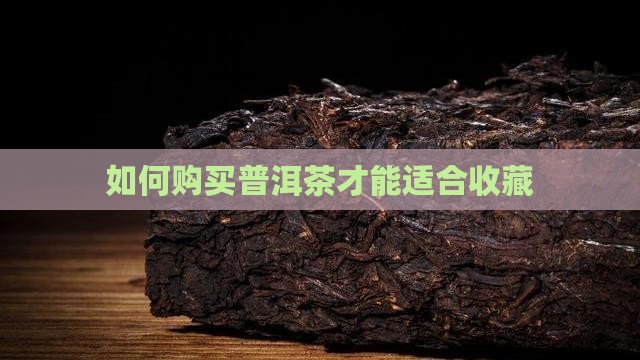 普洱茶怎么样才能购买藏