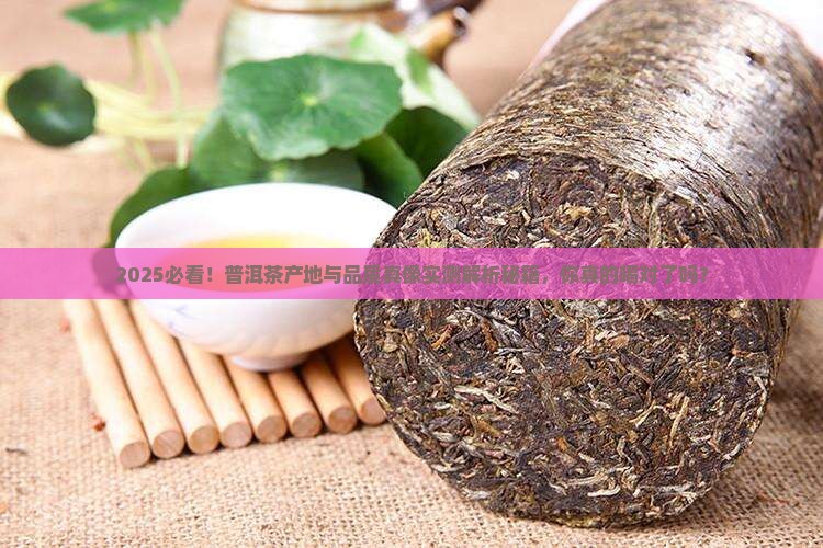 普洱茶的产地和品质特征