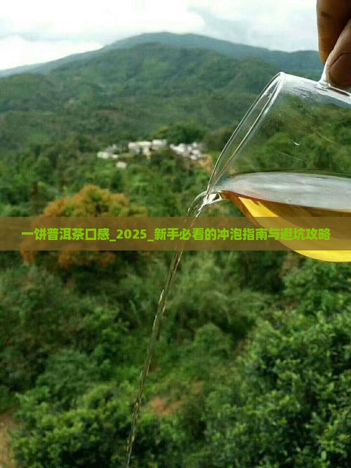 一饼普洱茶口感