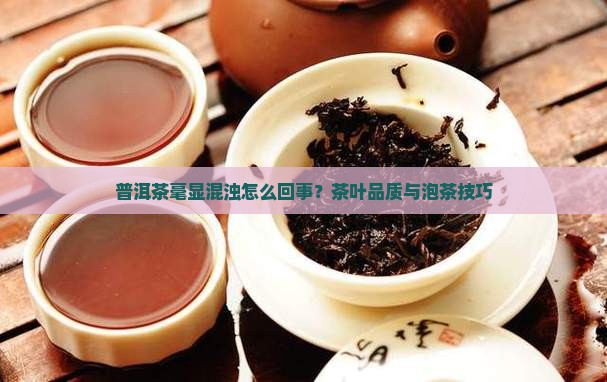 普洱茶毫显混浊