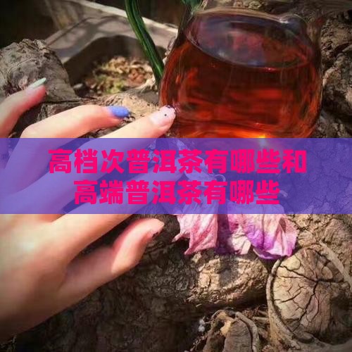 高档次普洱茶有哪些