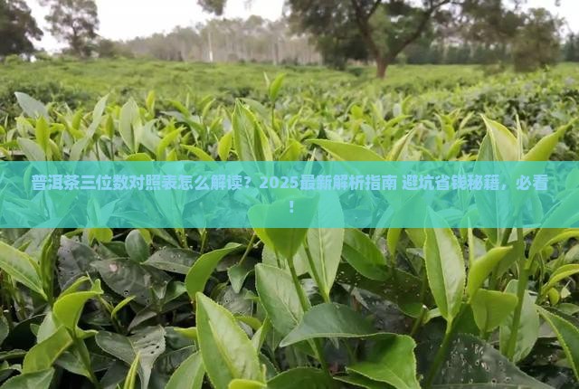 普洱茶三位数对照表