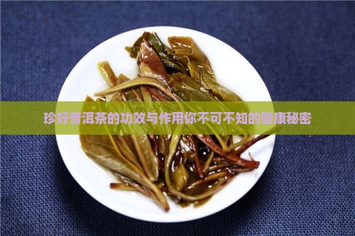 珍好普洱茶的功效与作用