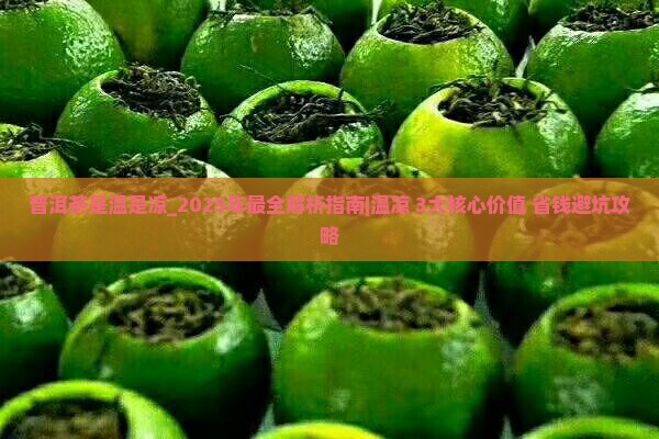 普洱茶是温是凉