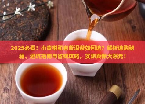 小青柑和老普洱茶