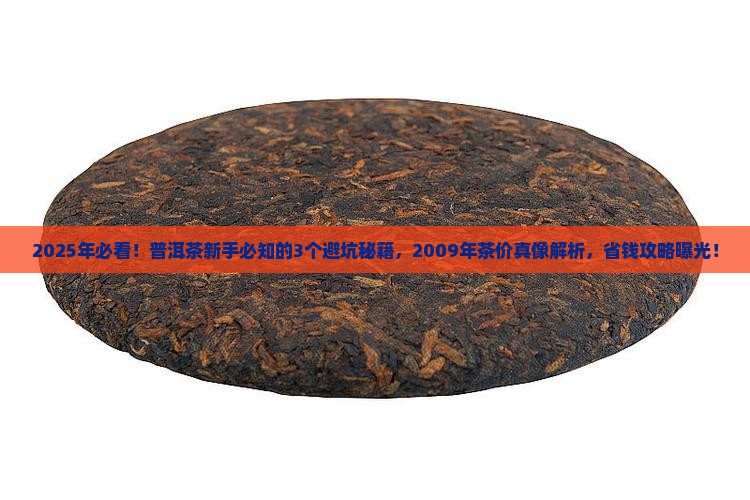 2009年的普洱茶怎么样