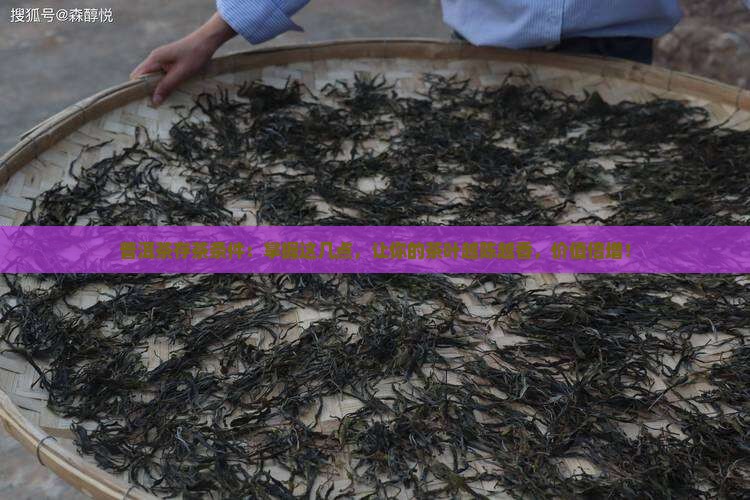 普洱茶存茶条件