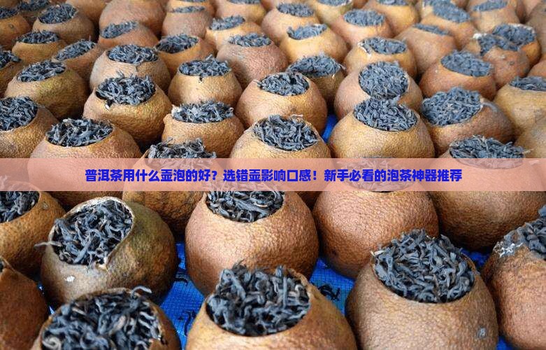 普洱茶用什么壶泡的好