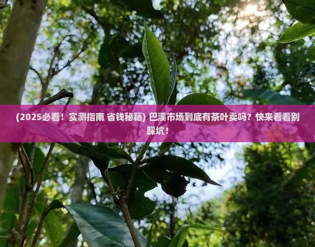 巴溪市场有茶叶卖吗