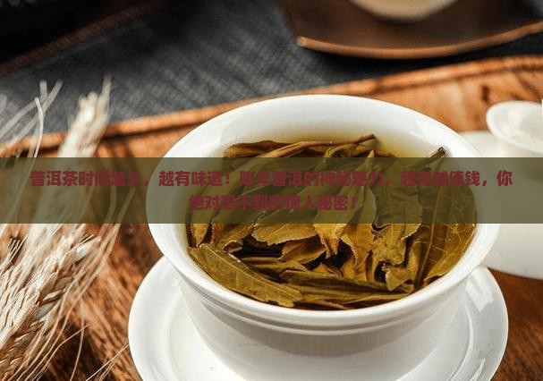 普洱茶时间越久