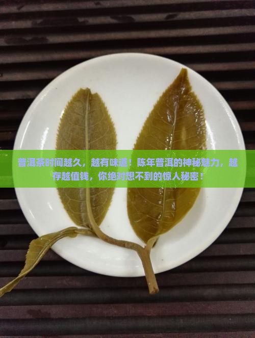 普洱茶时间越久