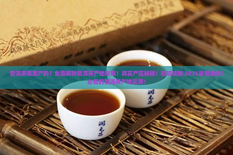 普洱茶一般是哪里产的