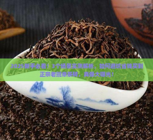 如何买到正宗老班章茶砖